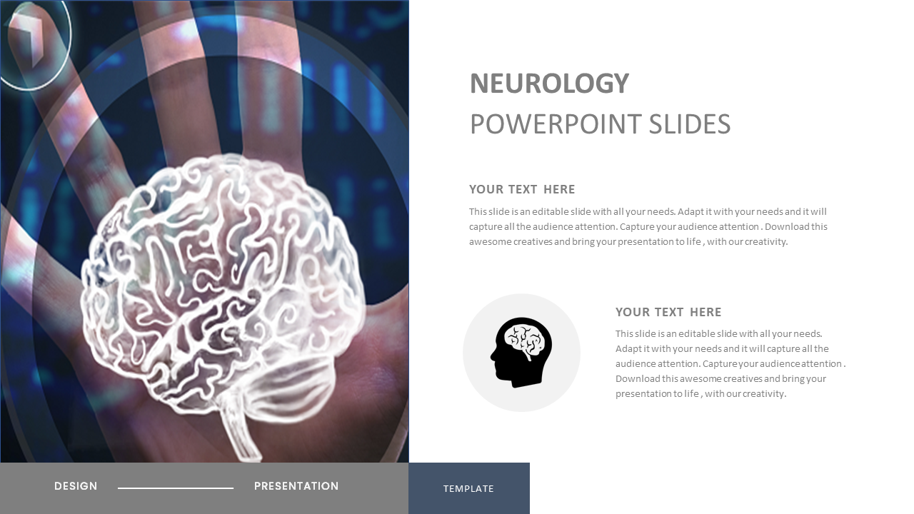 neurology powerpoint slides